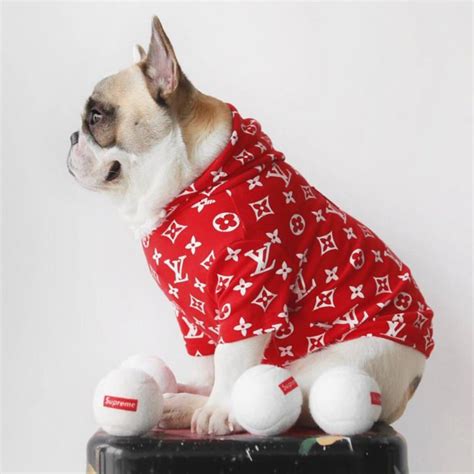 dog with lv supreme hoodie|louis vuitton dog jacket.